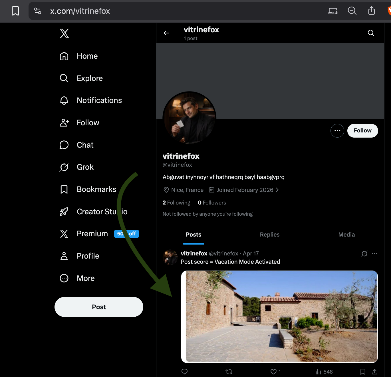 X profile for vitrinefox showing the location image